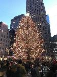 IMG_4020.JPG