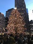 IMG_4021.JPG