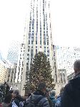 IMG_7667.JPG