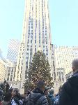 IMG_7668.JPG