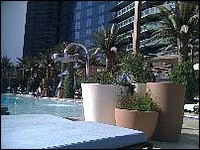 2011 10 vegas