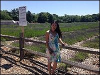 2015 06 lavender picking