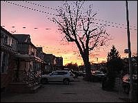 2019 11 front yard sunset