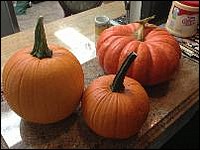 2014 10 pumpkins