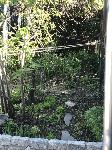 IMG_0531.JPG