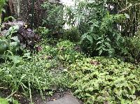 IMG_1474.JPG