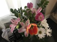 IMG_1146.JPG