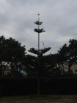 IMG_3741.JPG
