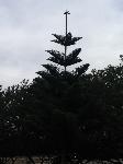 IMG_3742.JPG