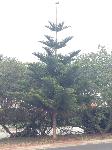 IMG_3743.JPG