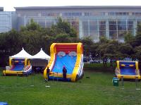 IMG_0162_2.jpg