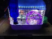 IMG_0995%20(2).JPG