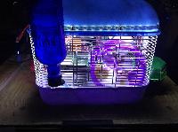 IMG_0996%20(2).JPG
