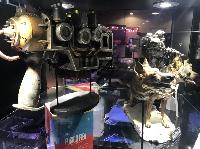 IMG_1148%20(2).JPG