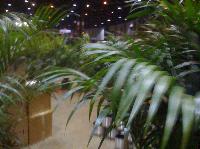 IMG_1586.jpg