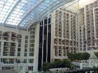 IMG_2274b.jpg