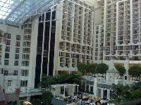 IMG_2275b.jpg