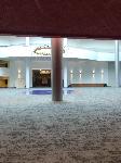 IMG_2550.JPG