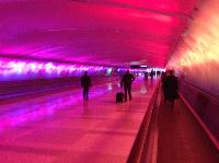 IMG_2559.JPG