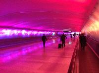 IMG_2562.JPG