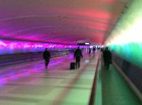 IMG_2564.JPG