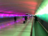 IMG_2565.JPG