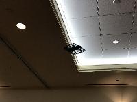 IMG_2598%20(2).JPG