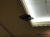 IMG_2601%20(2).JPG