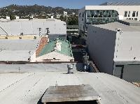 IMG_3342.JPG