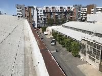 IMG_3346.JPG