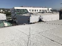 IMG_3352.JPG