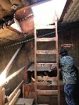 IMG_3363.JPG