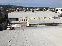 IMG_3395.JPG