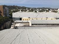 IMG_3397.JPG