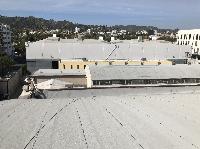 IMG_3398.JPG