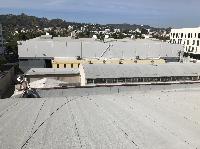 IMG_3399.JPG