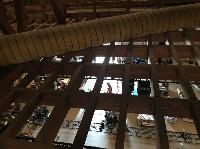 IMG_3623%20(2).JPG