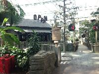 IMG_5916.JPG