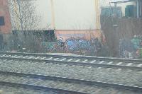 DSC_0448.JPG
