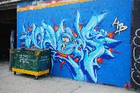 DSC_1628.JPG