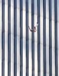 wtc-various14.jpg