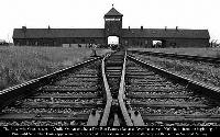 auschwitz_tor_opti.jpg