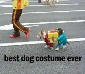 dog-costume.jpg