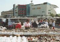 IMG_7989.JPG