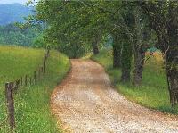 country_road_through_cades_cove.jpg