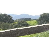 IMG_3764.JPG