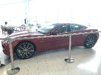 IMG_9576.JPG