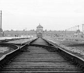 auschwitz-train-tracks.jpg